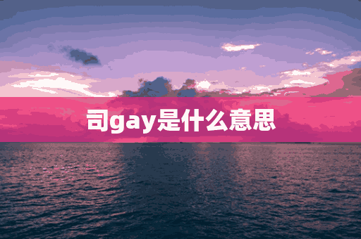 司gay是什么意思